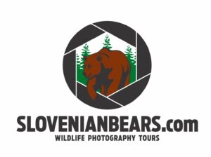 SLO_slovenianbears_Logo.jpg