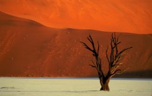 Josef-Niedermeier_Namibia-Dead Vlei im Sossusvlei-Nationalpark
