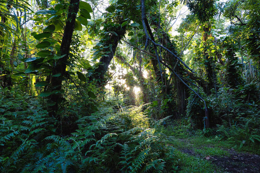 Hawaii: Naturwunder und Abenteuer − Gerhard Brischnik / Gerhard Brischnik Bild & Werbung - Photo+Adventure